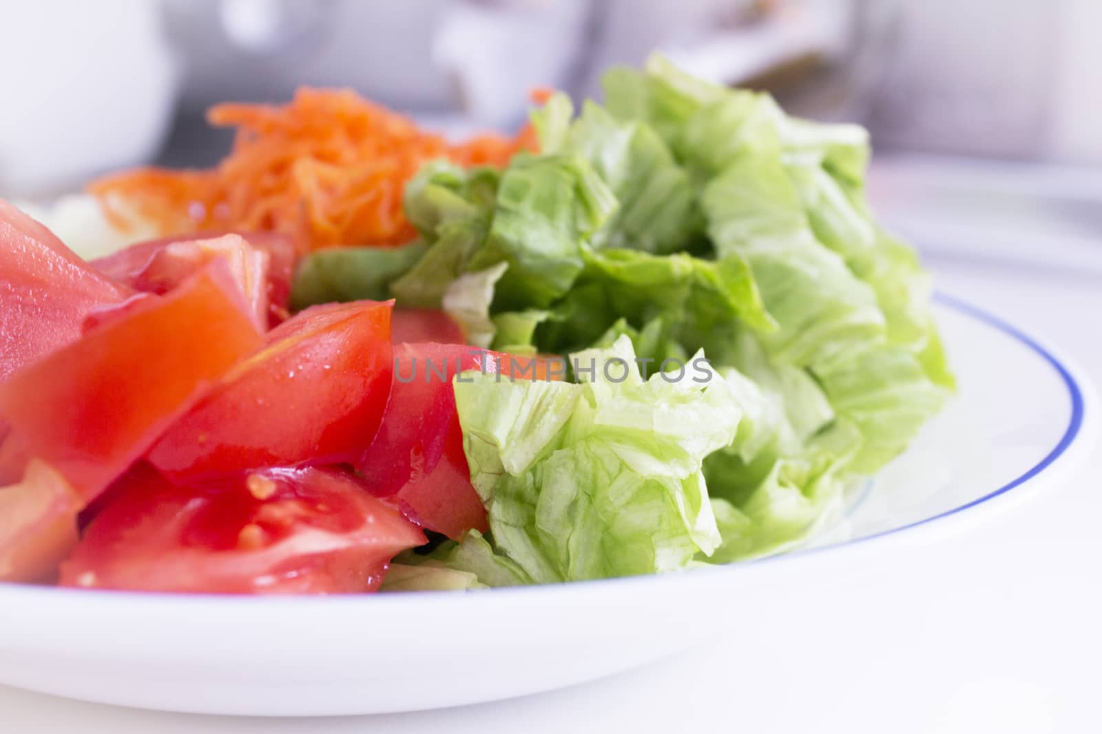 Lettuce, carrot, cucumber, tomato and onion salad. No people