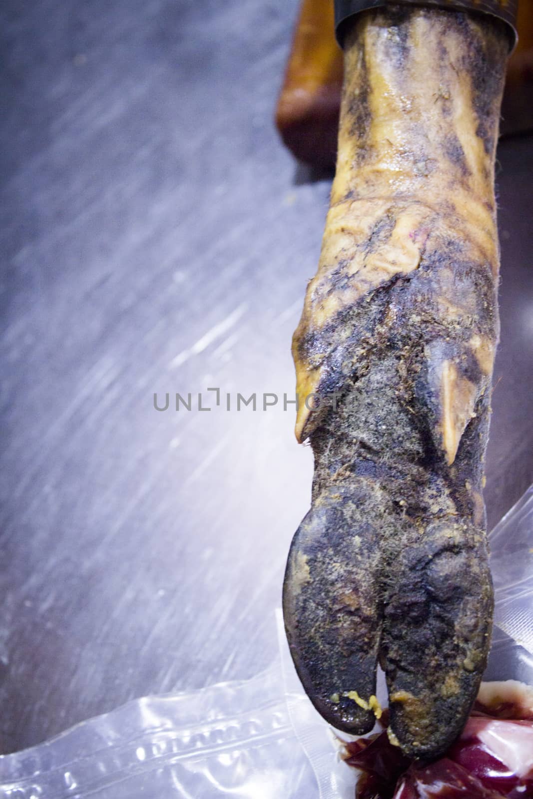 Spanish acornfed Iberico ham leg. No people