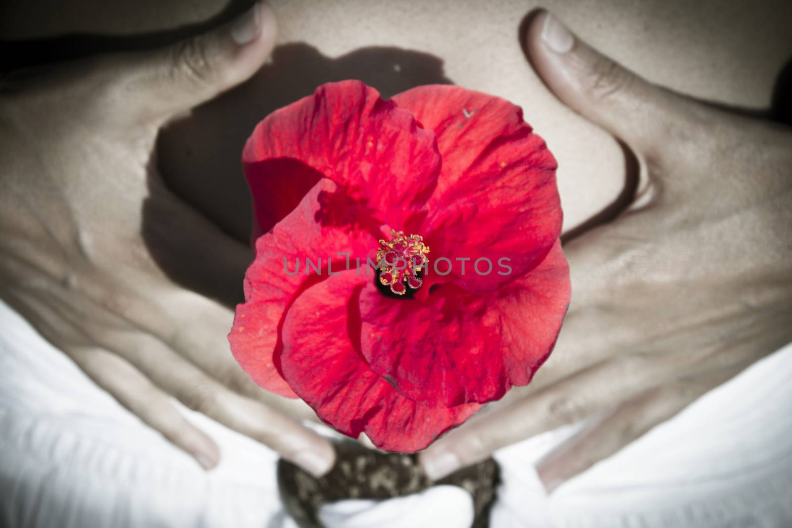 Flat belly of woman with red flower, health symptom