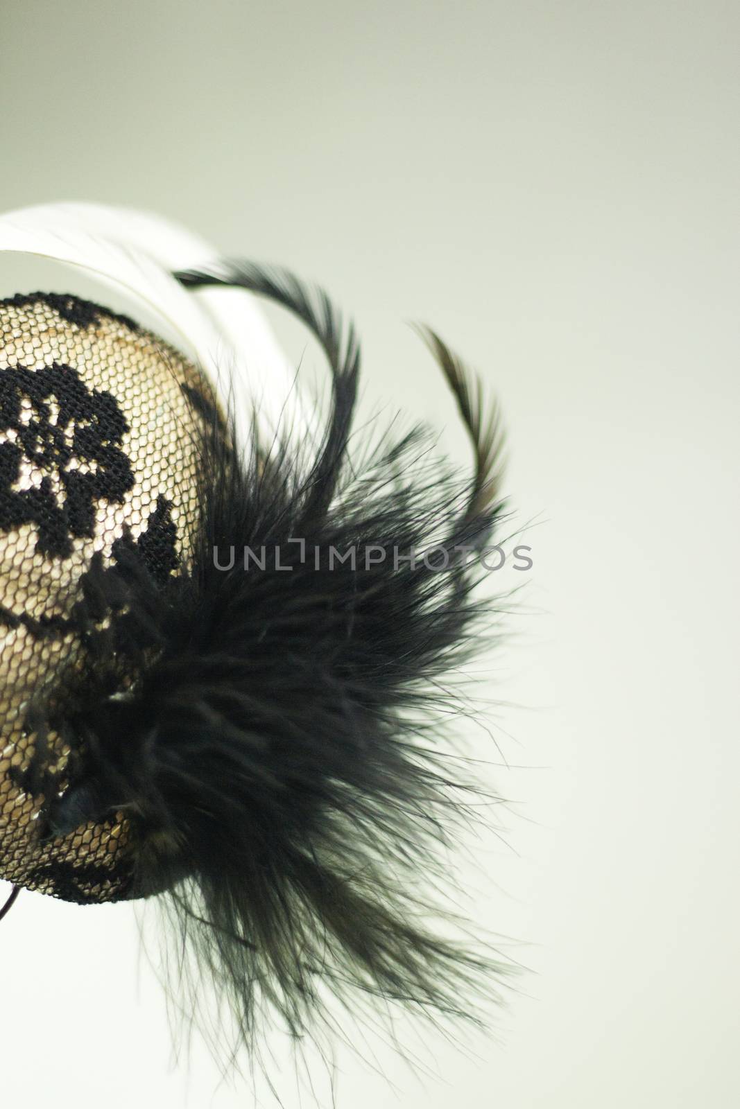 Headdress for lady hair on isolated background. No people
