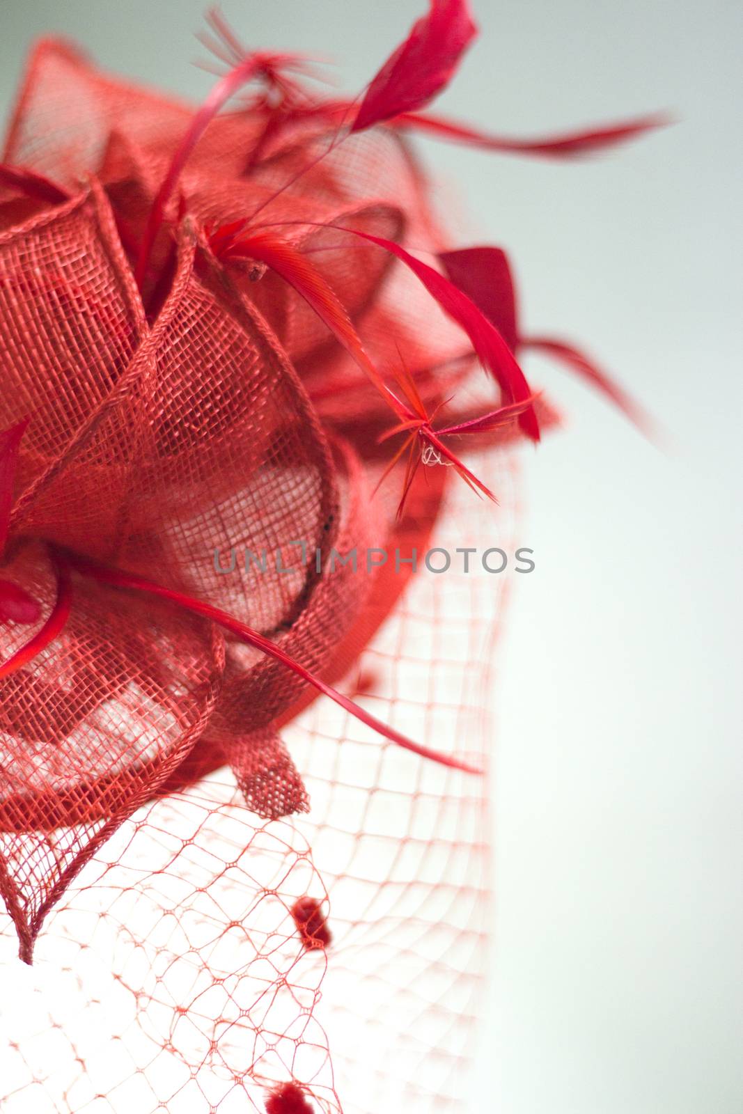 Headdress for lady hair on isolated background. No people