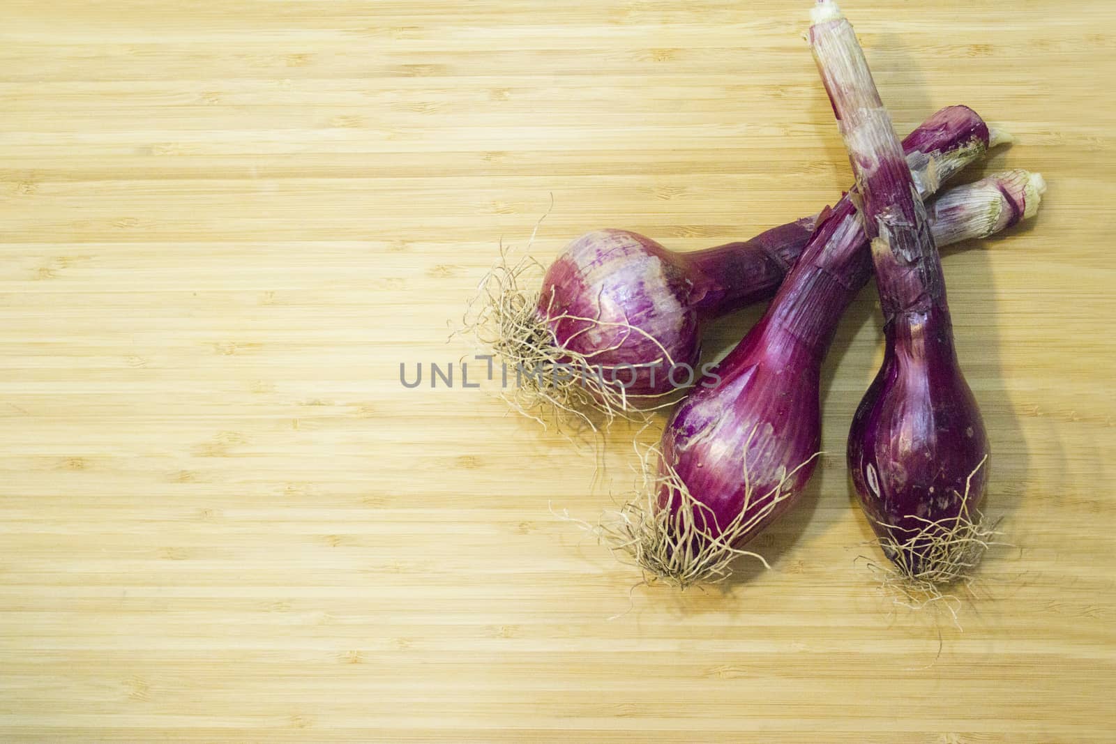 Uncooked purple chives in the kitchen. No people