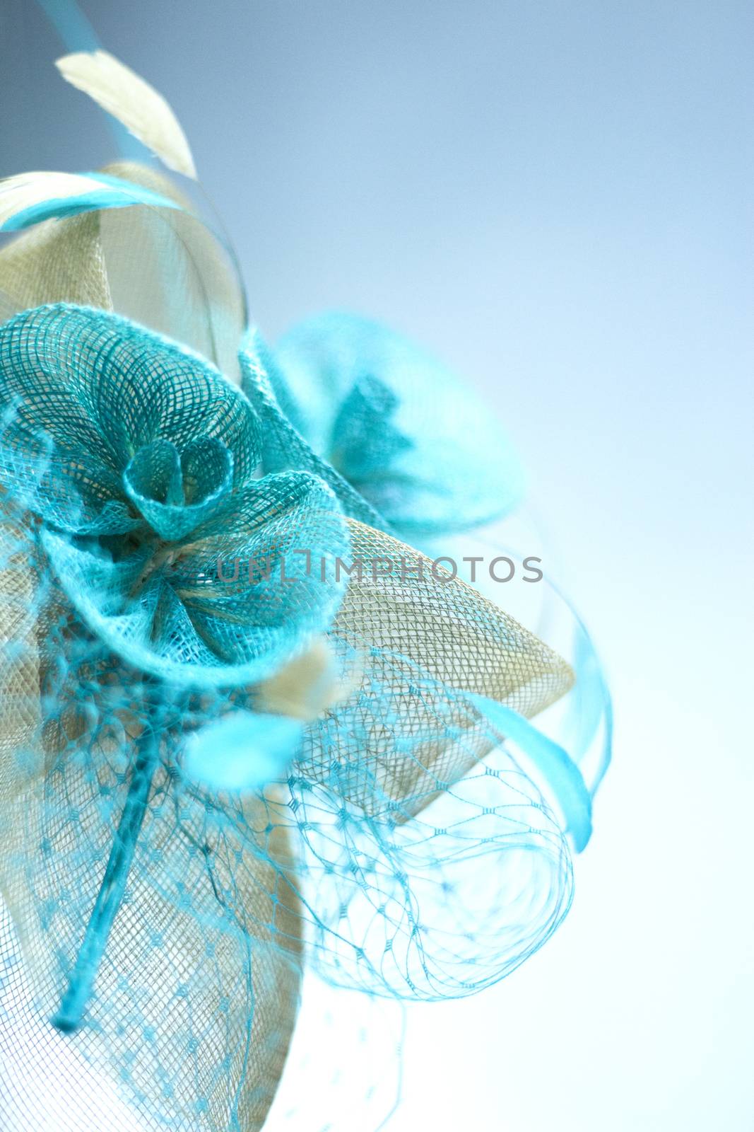 Headdress for lady hair on isolated background. No people