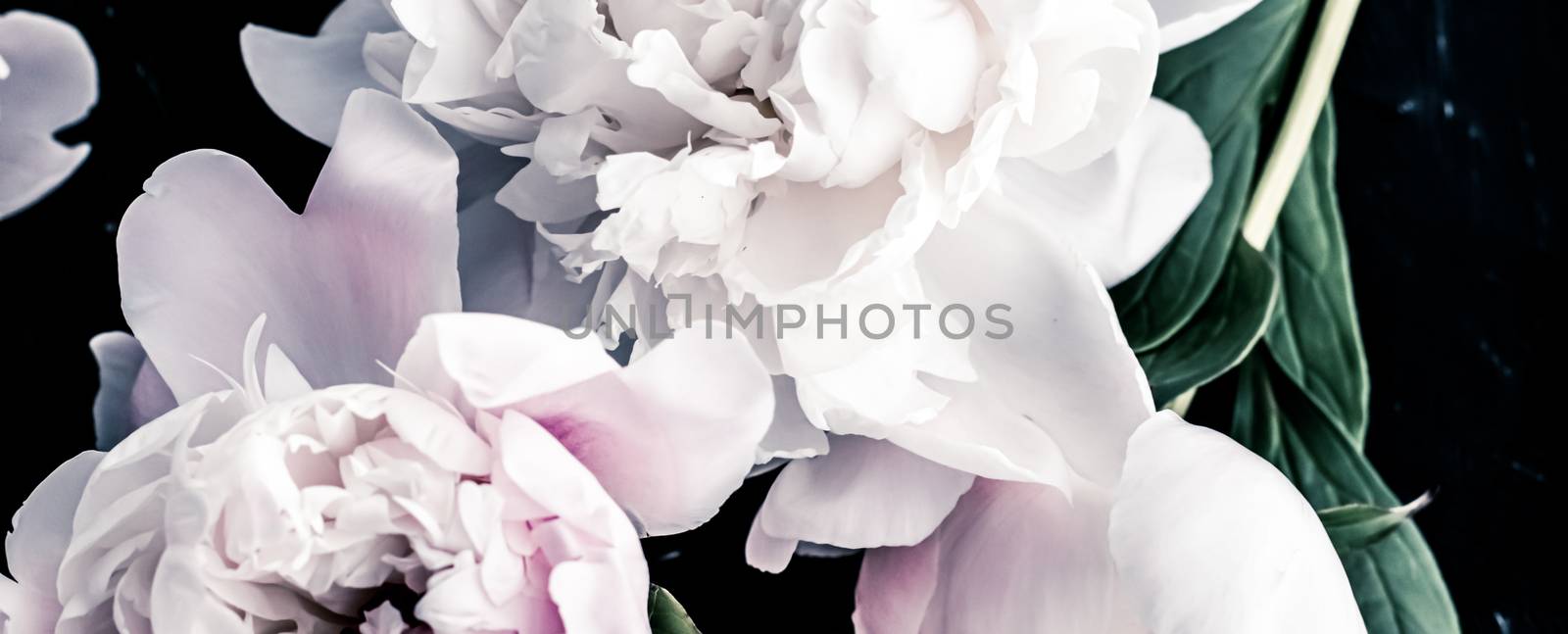 Pastel peony flowers as floral art background, botanical flatlay and luxury branding by Anneleven