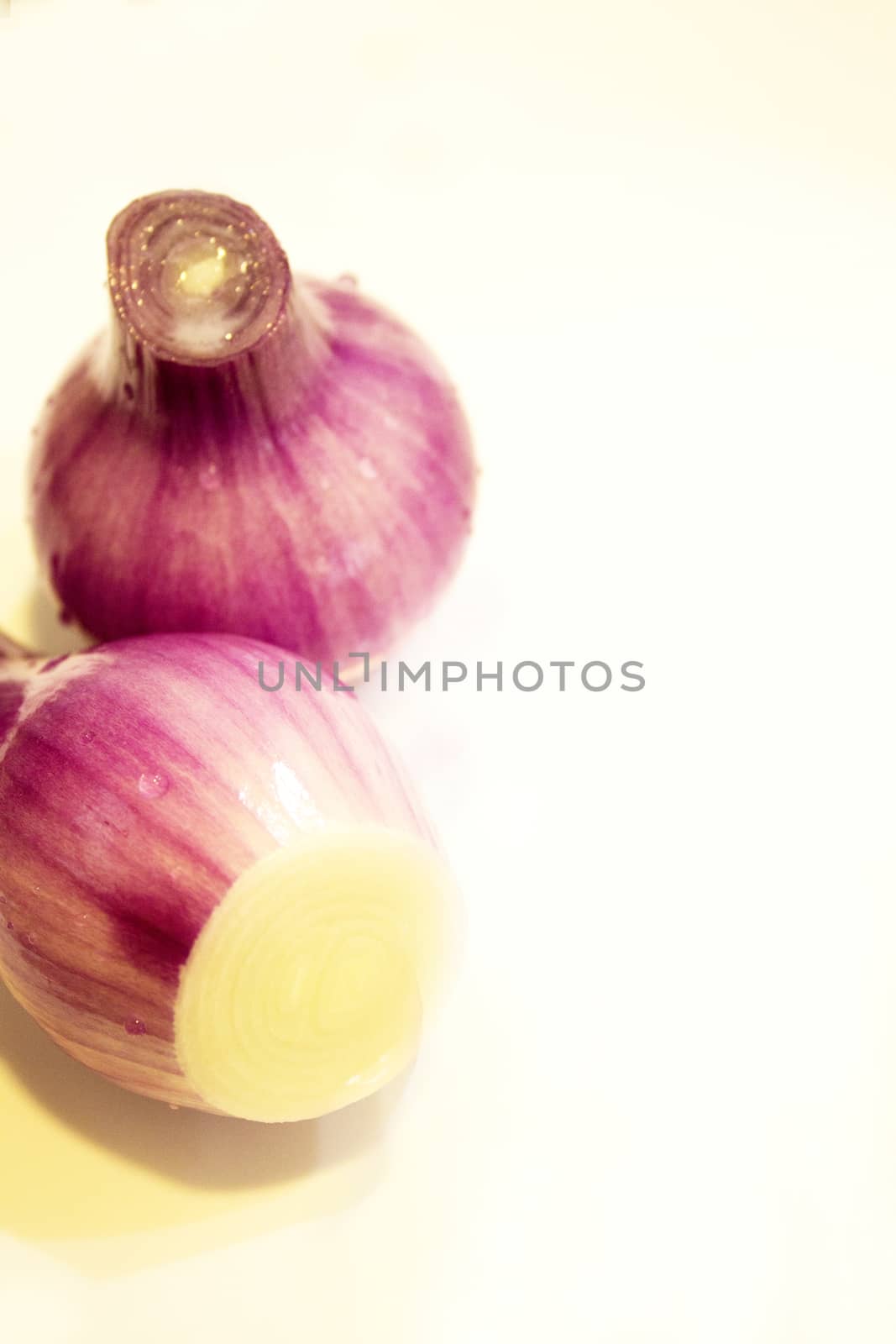 Uncooked purple chives in the kitchen. No people