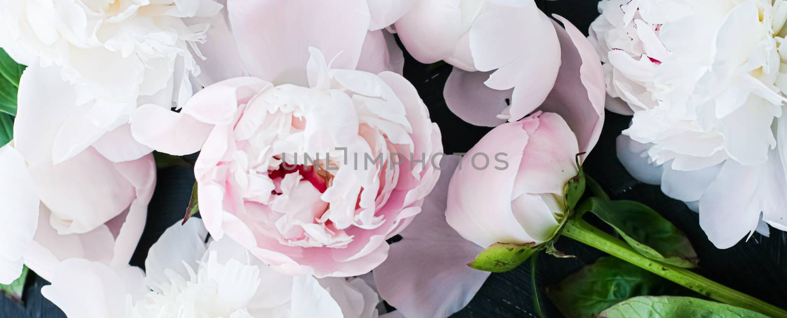 Blooming peony flowers as floral art background, botanical flatlay and luxury branding design