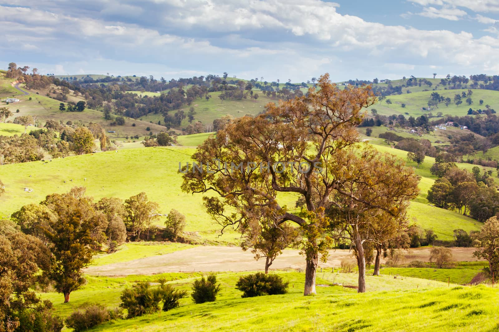 A view over Bega and surrounding farmland on a sunny day in New South Wales, Australia