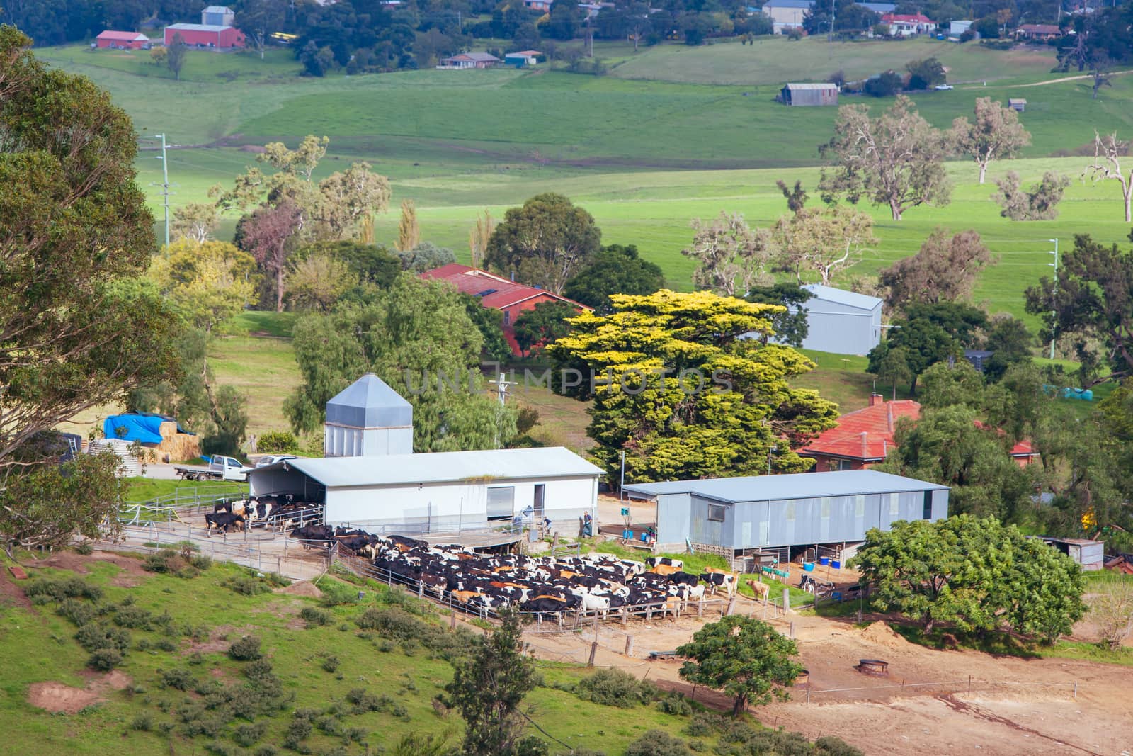 Bega, Australia - April 18 2014: A dairy farm in Bega on a sunny day in New South Wales, Australia