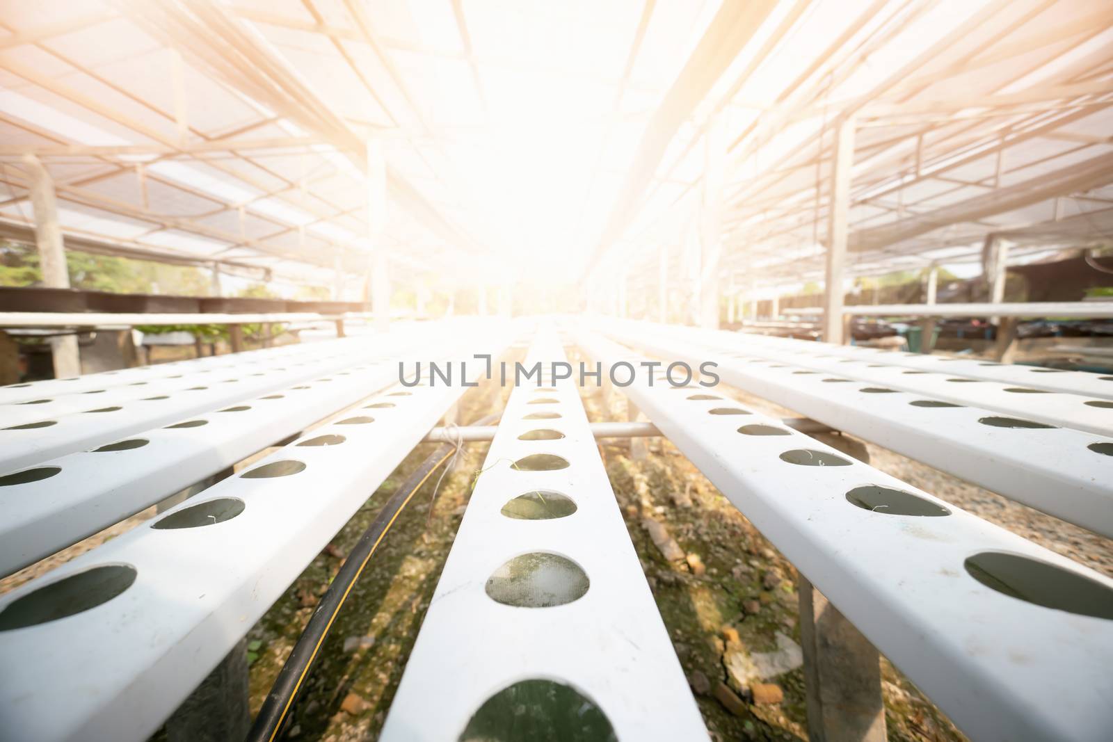 Organic vegetable growing plots.  Industrial concept by Buttus_casso