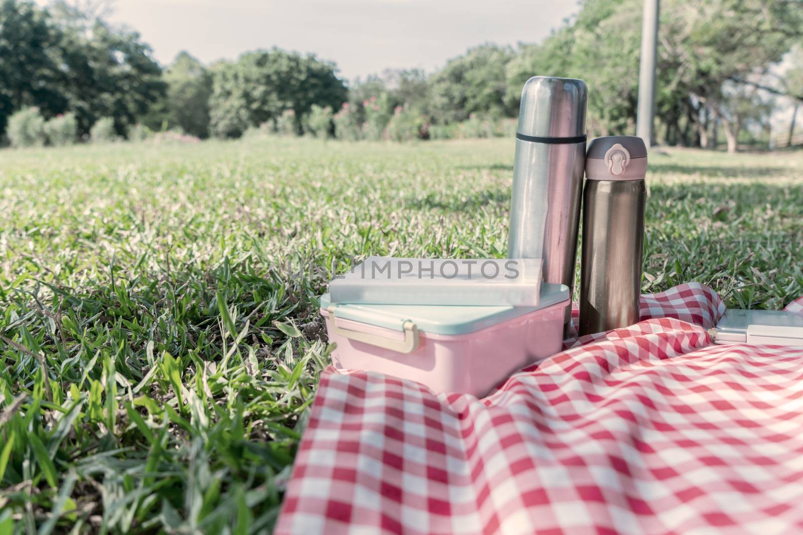 Picnic at the public park concept