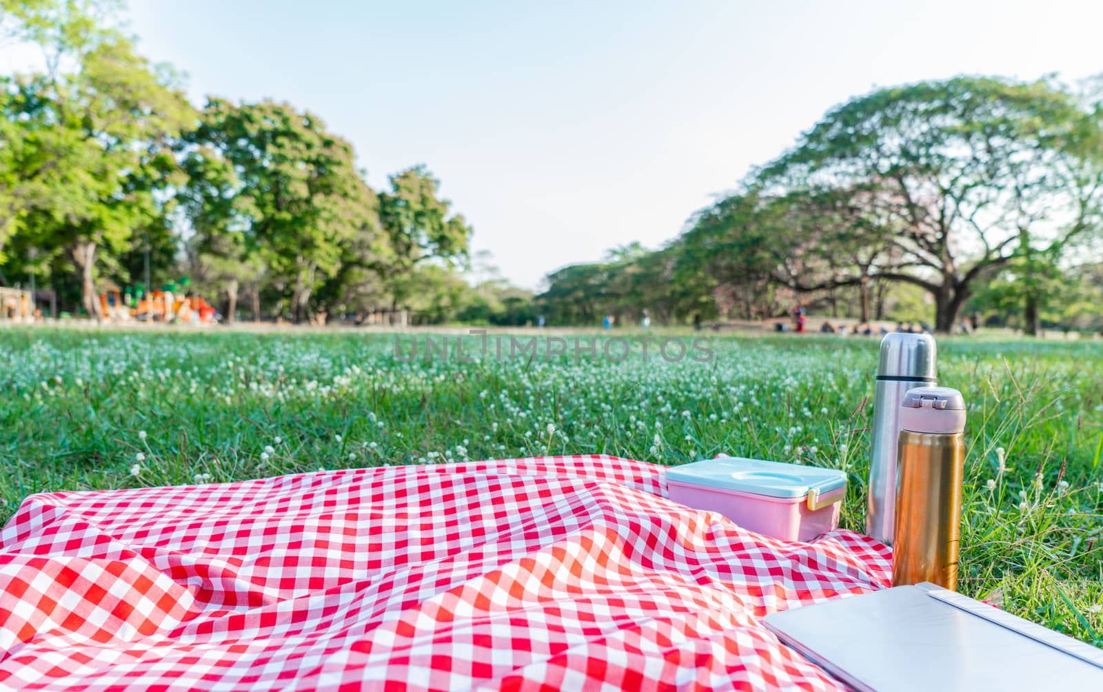 Red checkered tablecloth with object at the garden by Buttus_casso