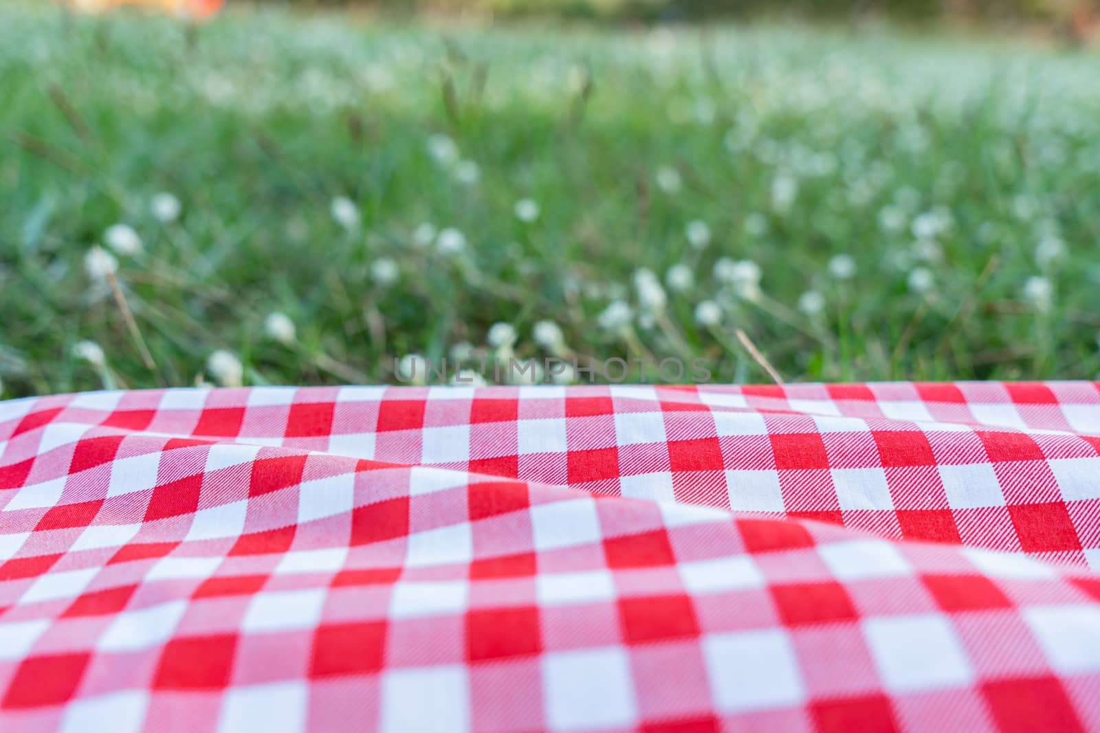 Red checkered tablecloth texture with on green grass at the garden