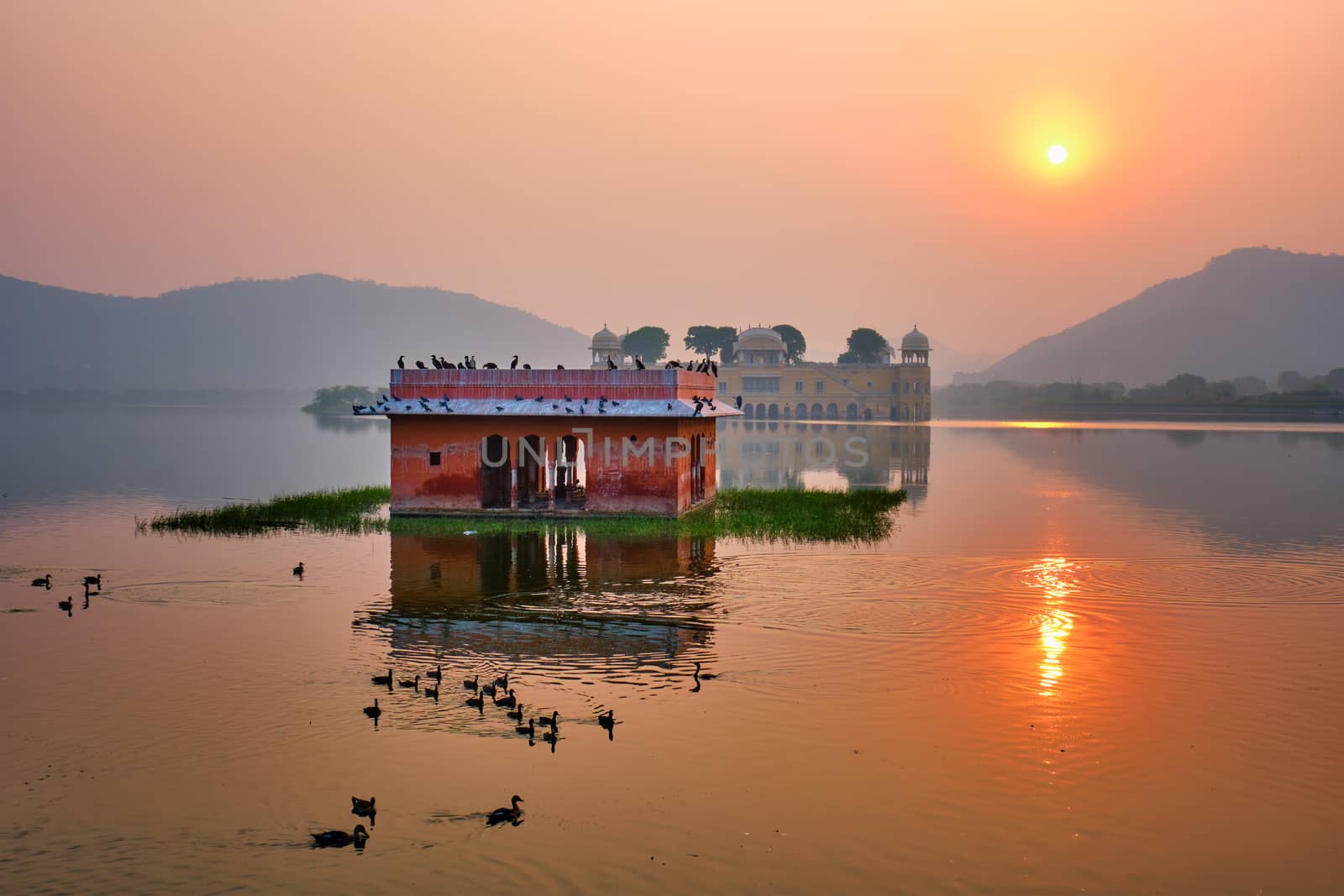 Tranquil morning at Jal Mahal Water Palace at sunrise in Jaipur. Rajasthan, India by dimol