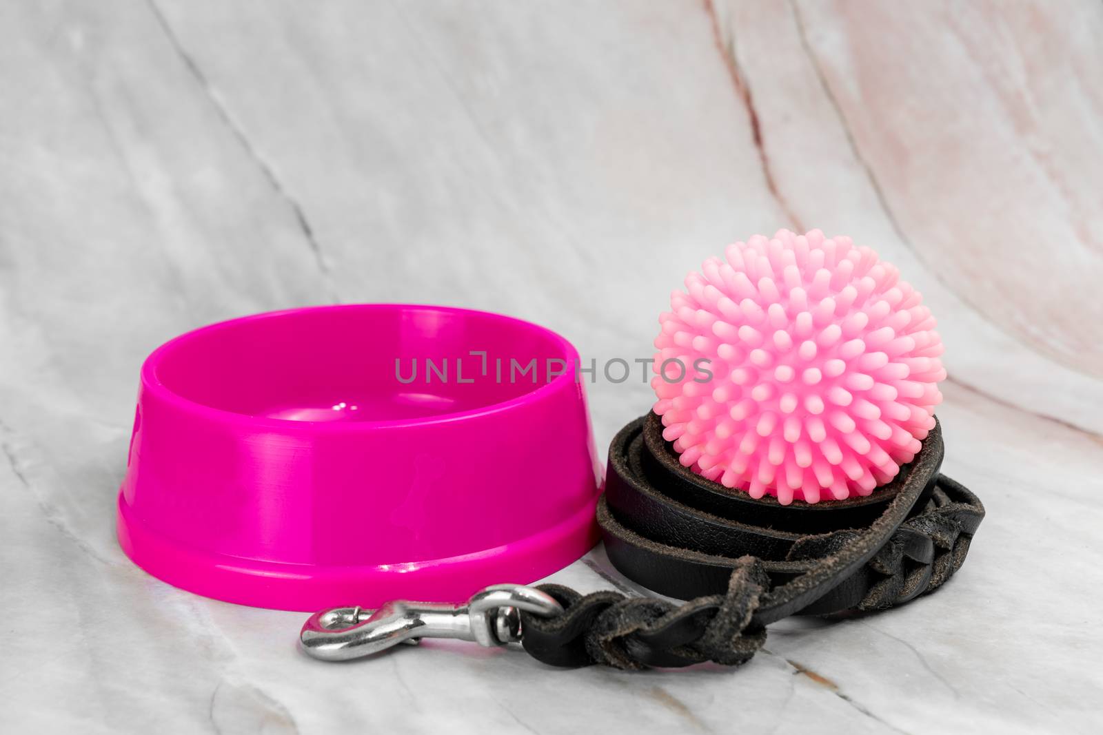 Bowl for pet and leashes with collars by Buttus_casso