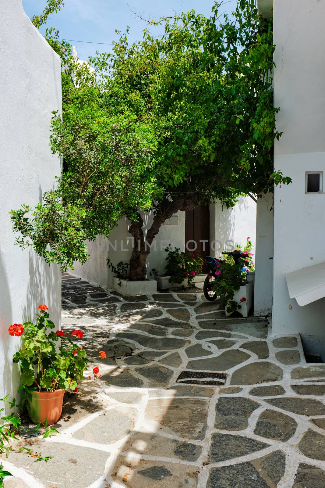 Picturesque narrow street with traditional whitewashed houses with blooming flowers of Naousa town in famous tourist attraction Paros island, Greece