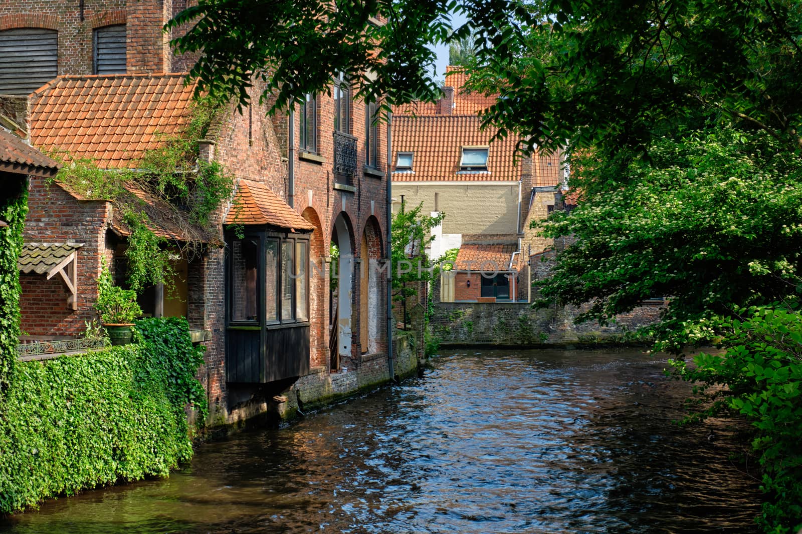 Canal with old houses in Bruge, Beligum by dimol