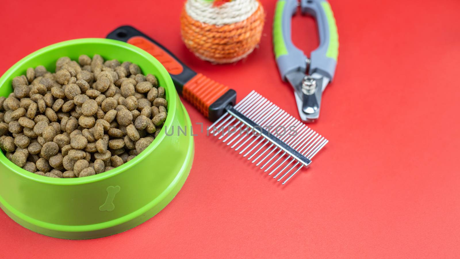Dry food in bowls, toy, comb and leashes for pets