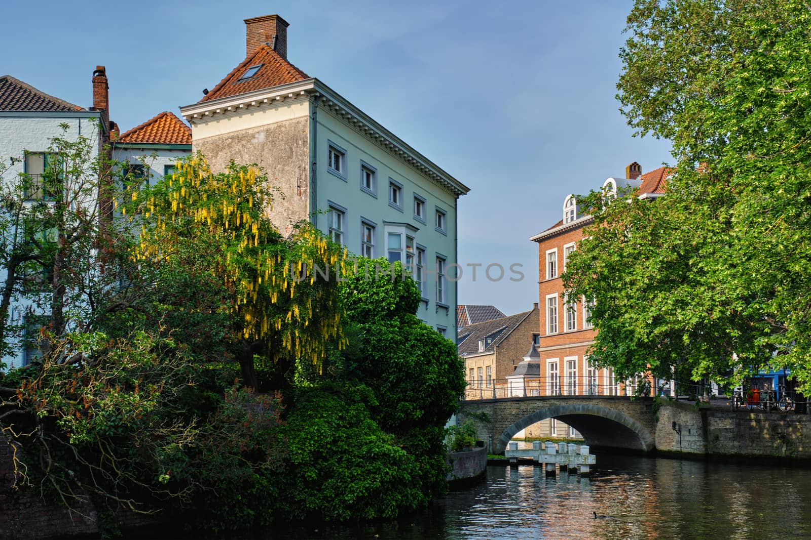 Brugge canal and old houses. Bruges, Belgium by dimol
