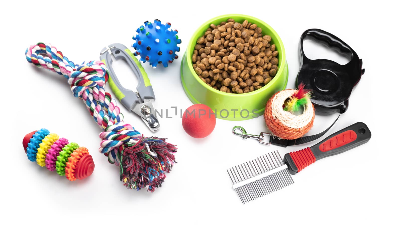 Dry food with pets accessories on isolated white by Buttus_casso