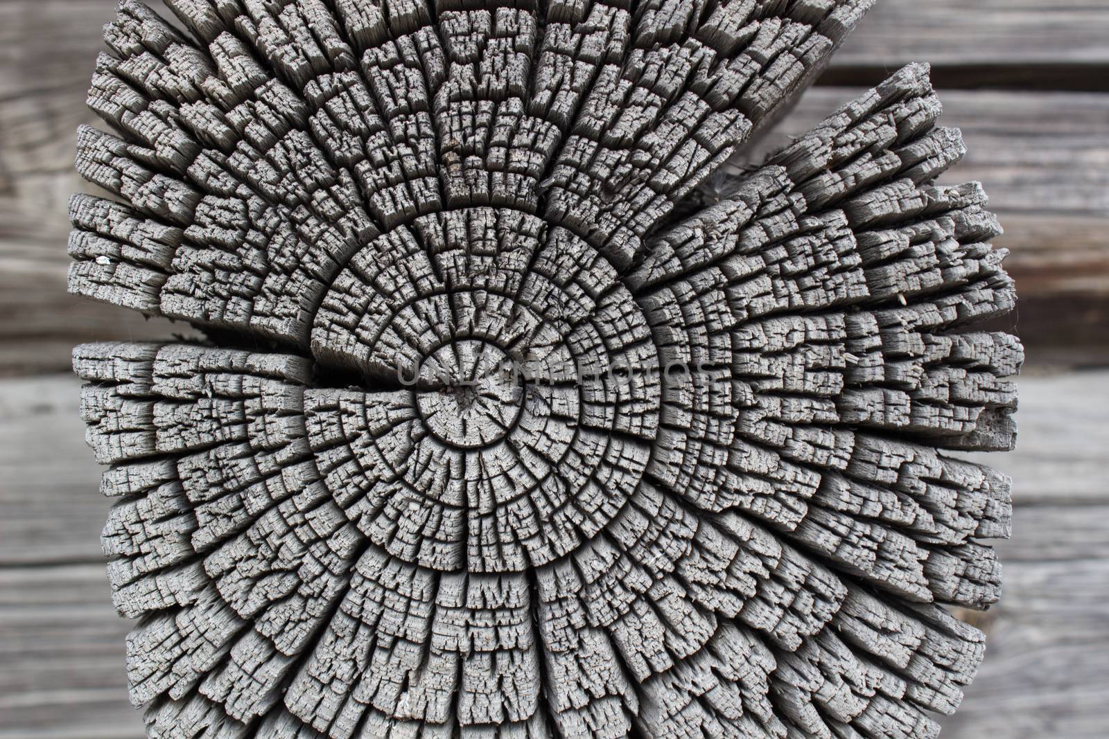 A fragment of the wall of the log house. Chapped ends of old logs. Natural wood, rough texture.