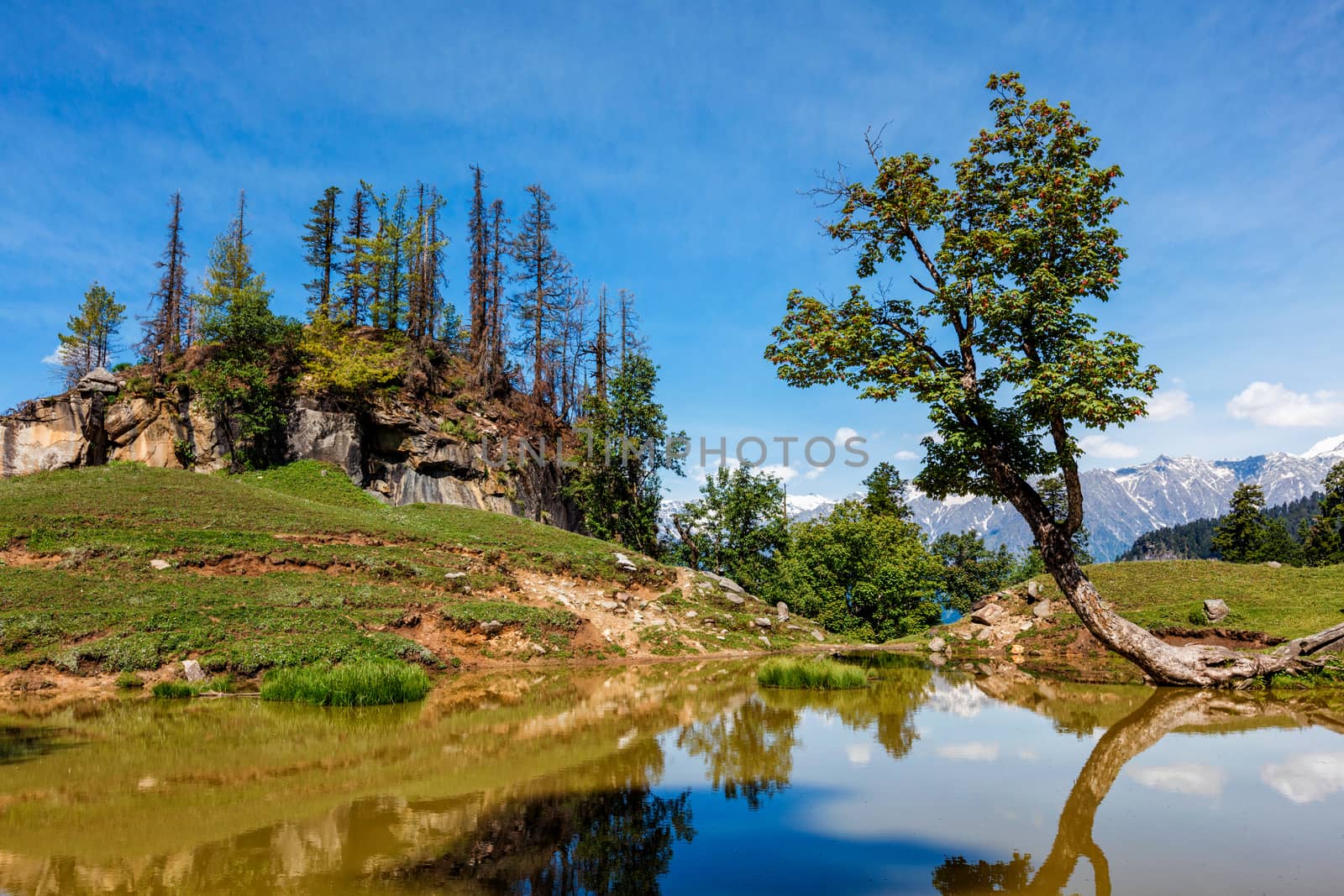 Scenic Indian Himalayan landscape scenery in Himalayas with tree and small lake. Himachal Pradesh, India