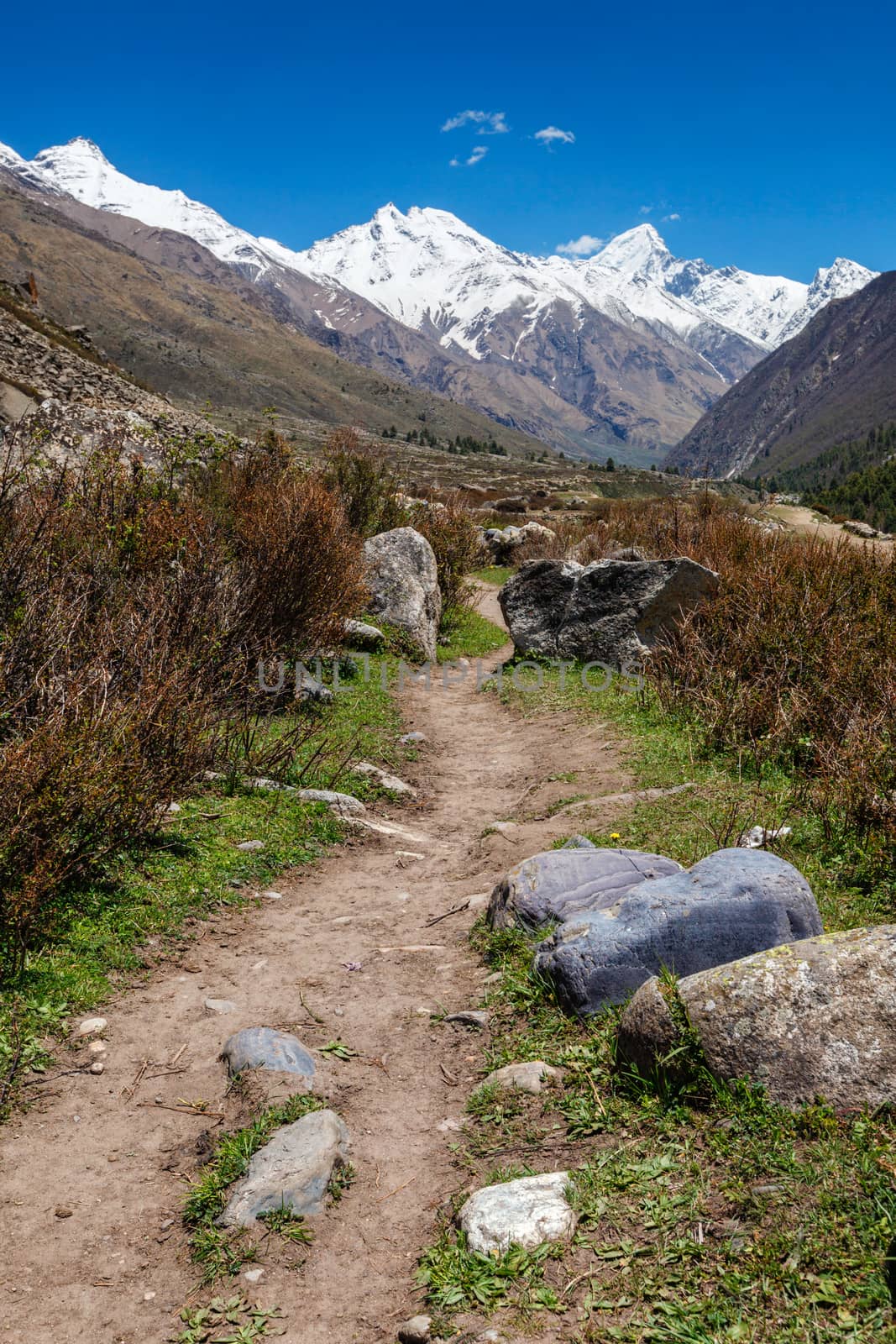 Old trade route to Tibet from Sangla Valley. Himachal Pradesh, India by dimol