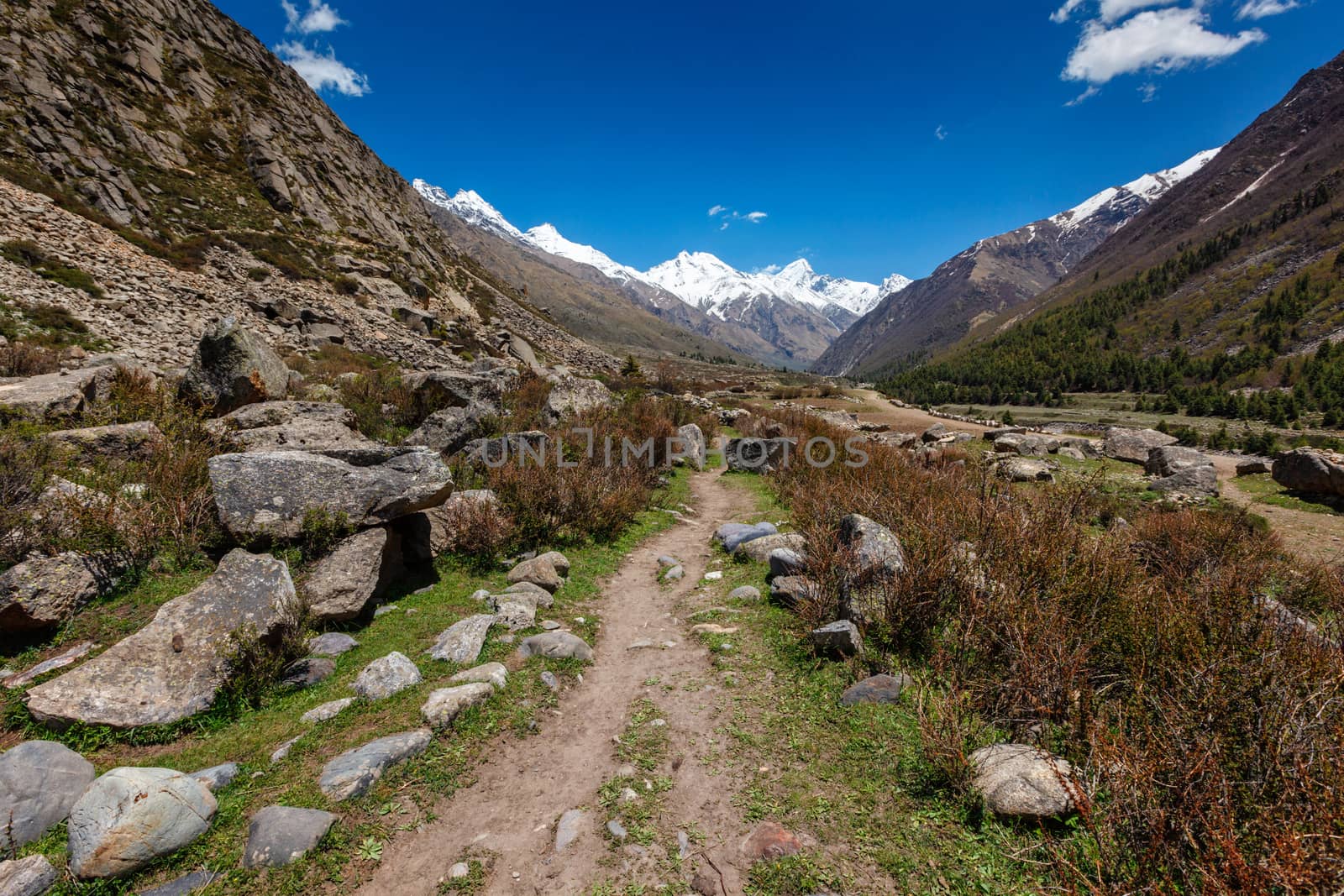 Old trade route to Tibet from Sangla Valley. Himachal Pradesh, India by dimol