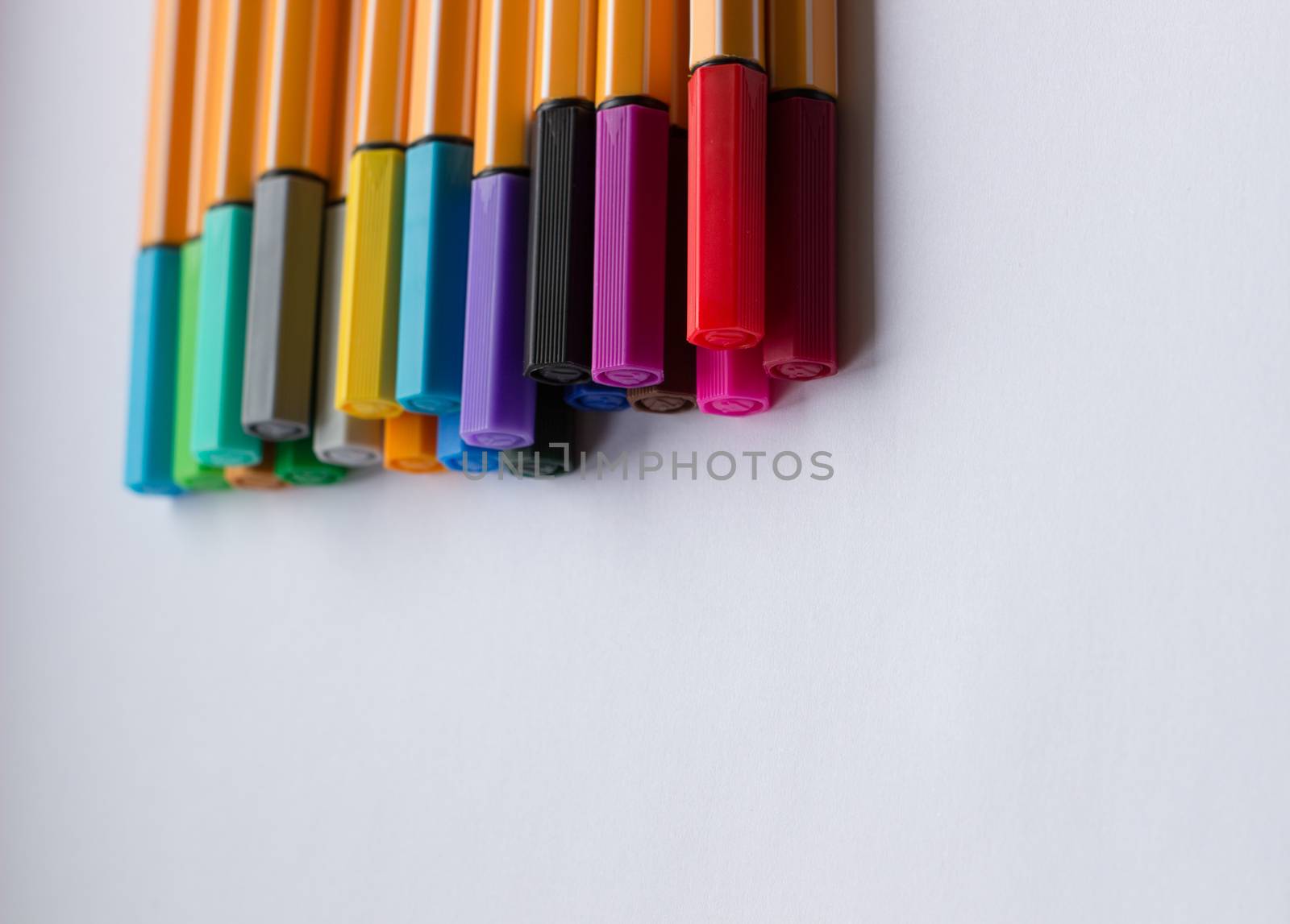 Many different colored pens. Color pencils isolated on a white background by AnatoliiFoto