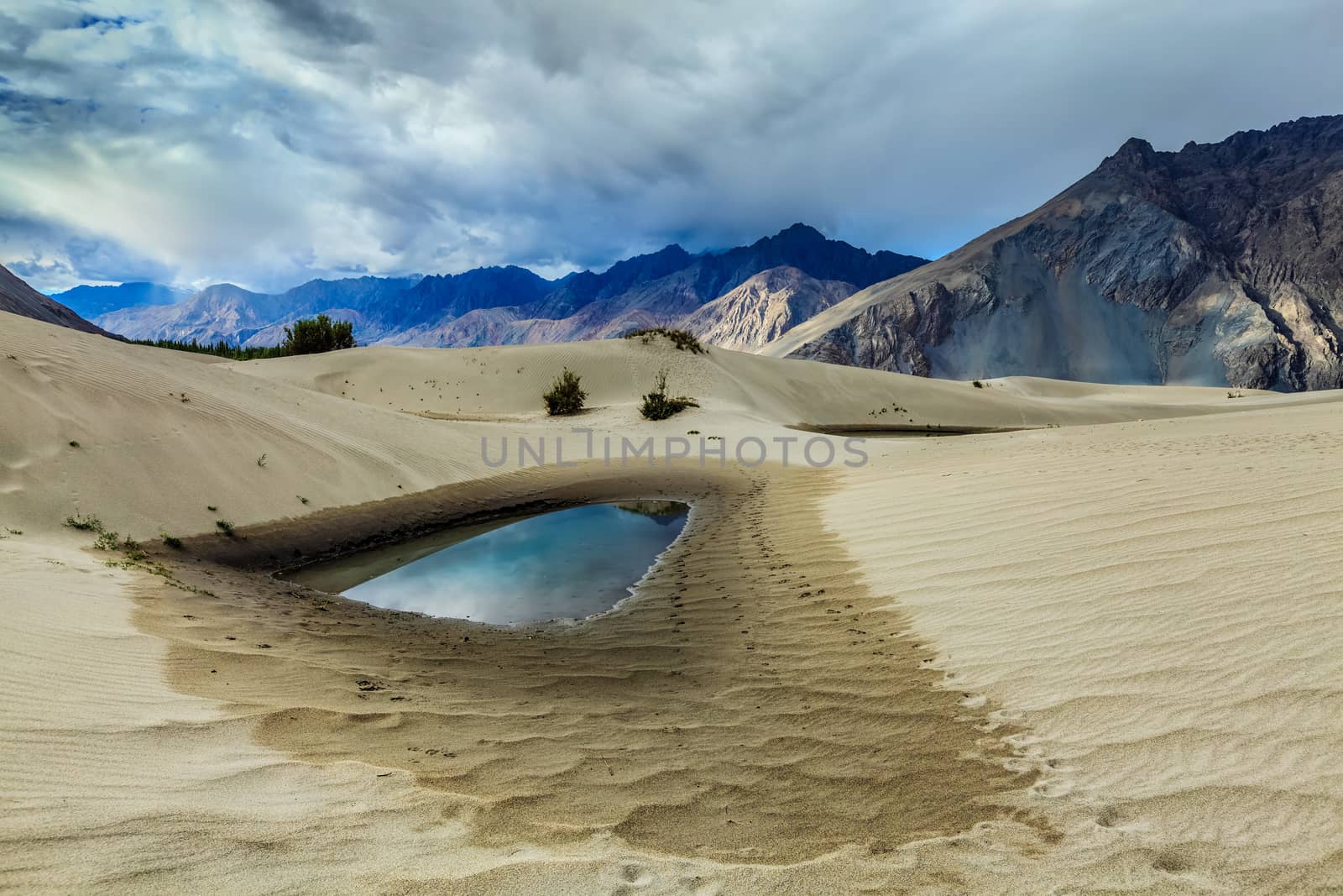 Sand dunes in Himalayan desert near Hunder village. Himalayas, Nubra valley, Ladakh. India