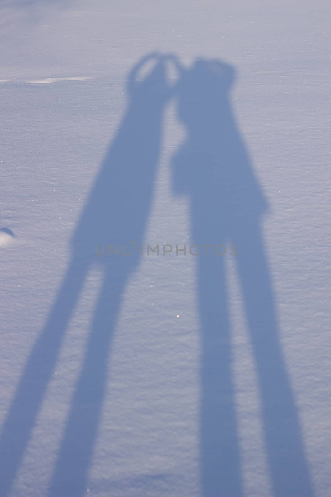 Holding hands creating a shadow in the snow. Shadows of people in the snow