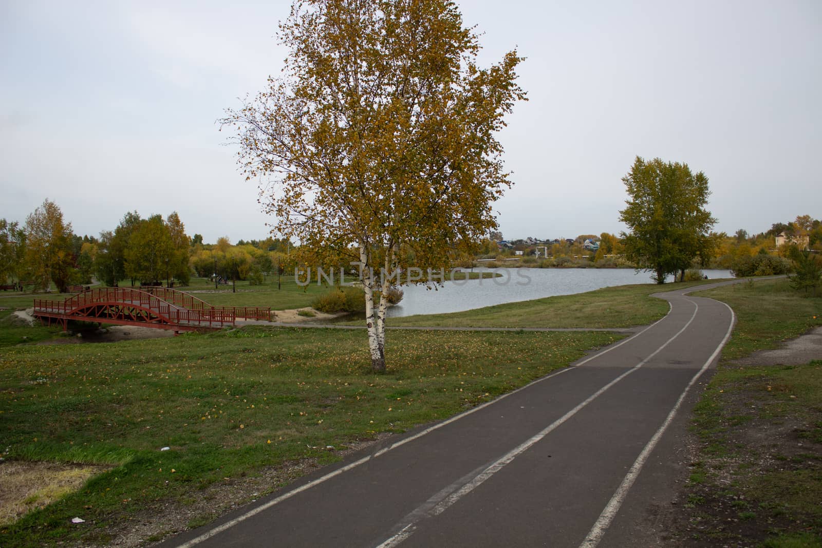 The road to the beautiful backdrop of the Park near the lake.