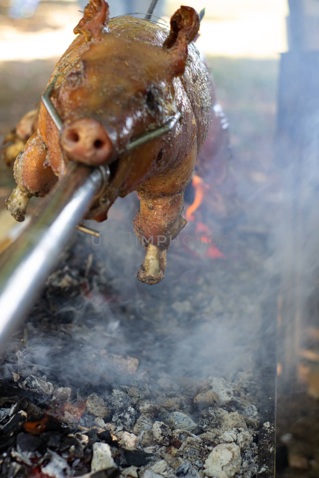 Roast pig on a spit. Pig cooking in Germany.