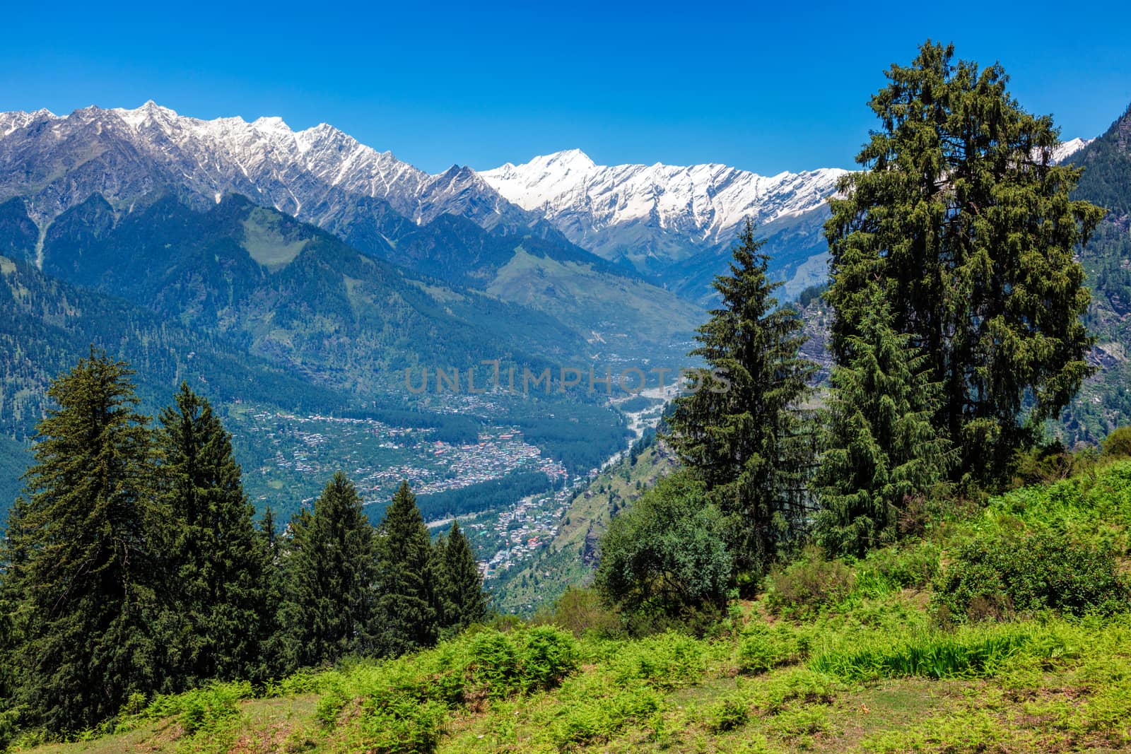 Spring meadow in Kullu valley in Himalaya mountains. Himachal Pradesh, India