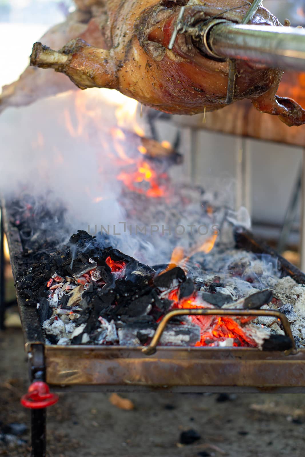 Roast pig on a spit. Pig cooking in Germany.