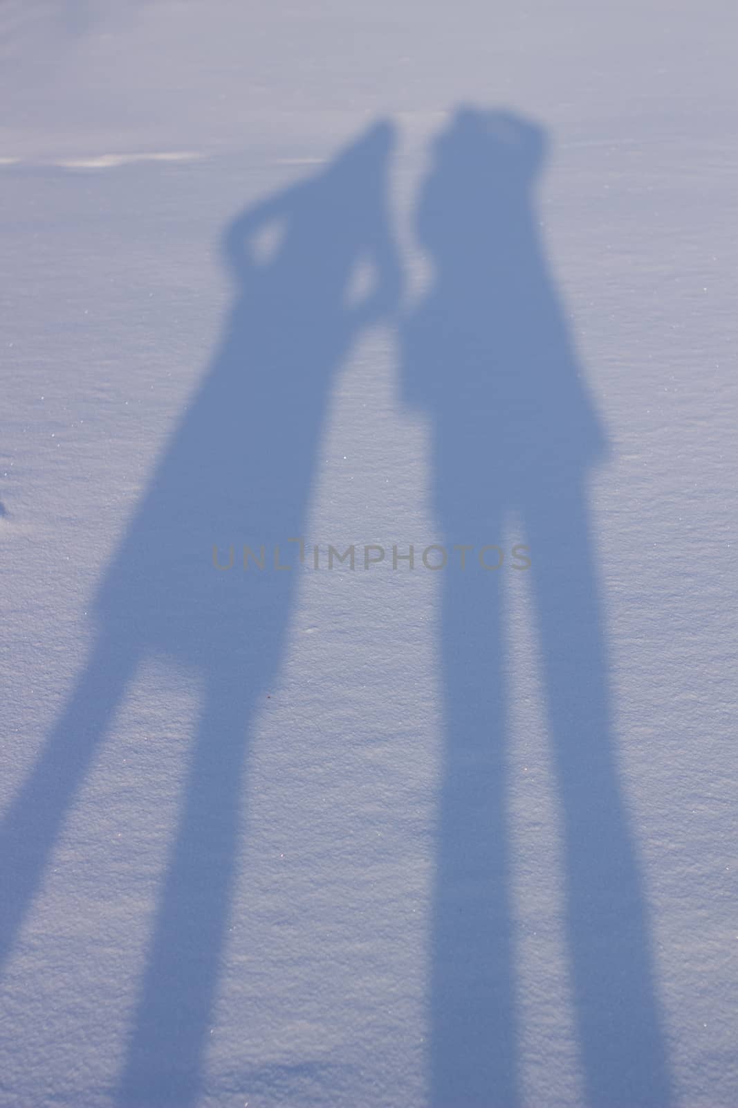 Holding hands creating a shadow in the snow. Shadows of people in the snow