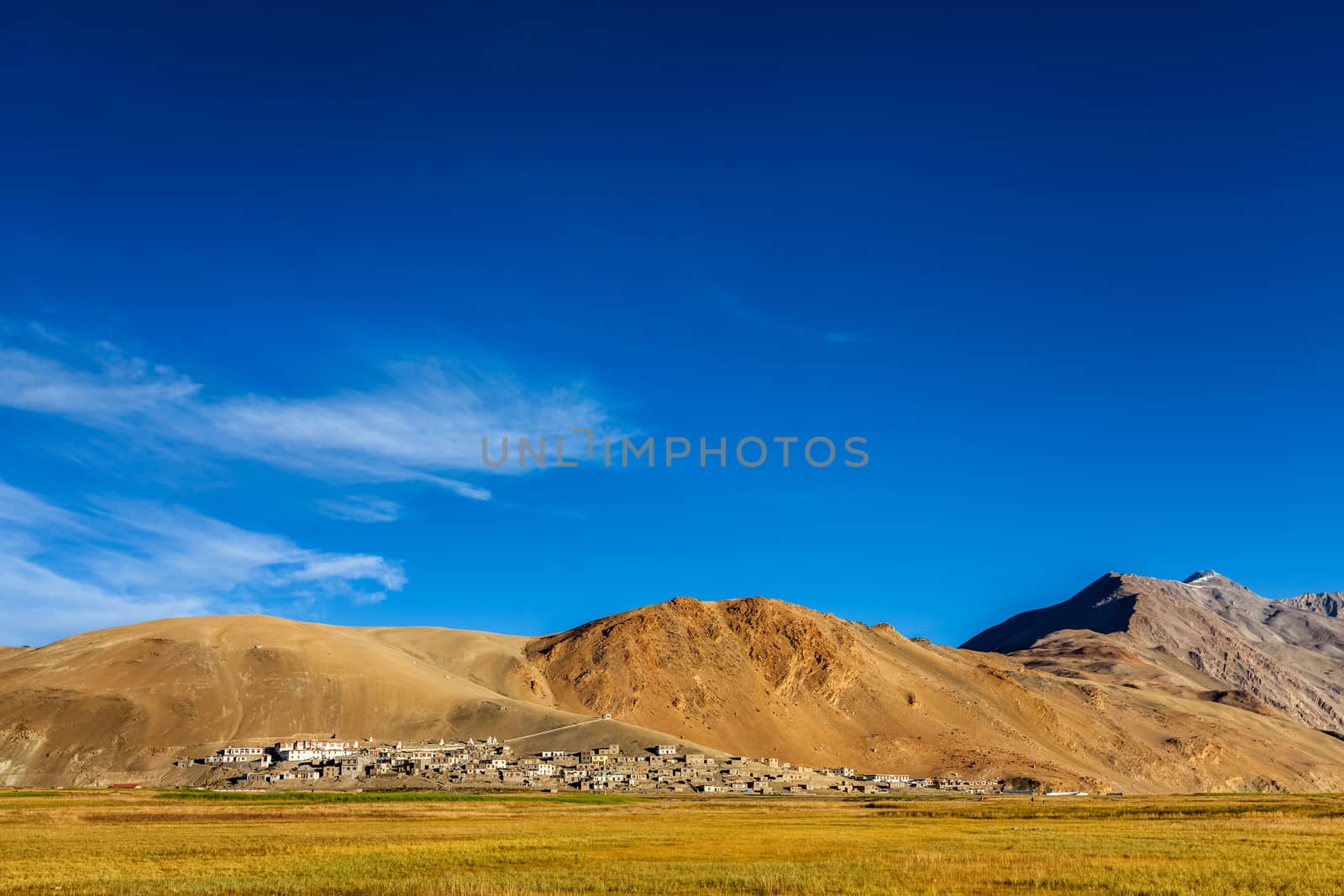 North Indian traditional Korzok village on Tso Moriri, Ladakh. 4500 meters above sea by dimol