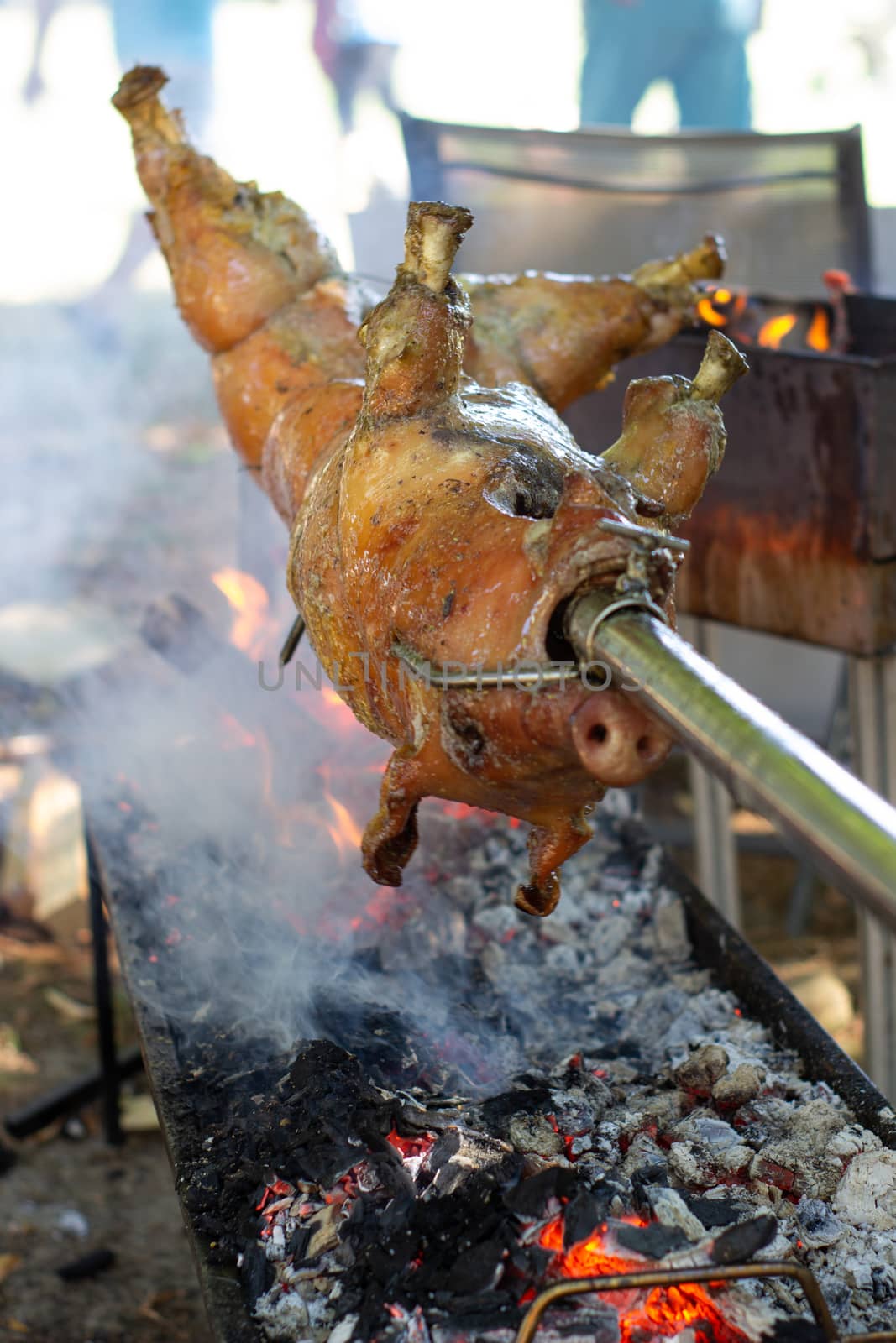Roast pig on a spit. Pig cooking in Germany.