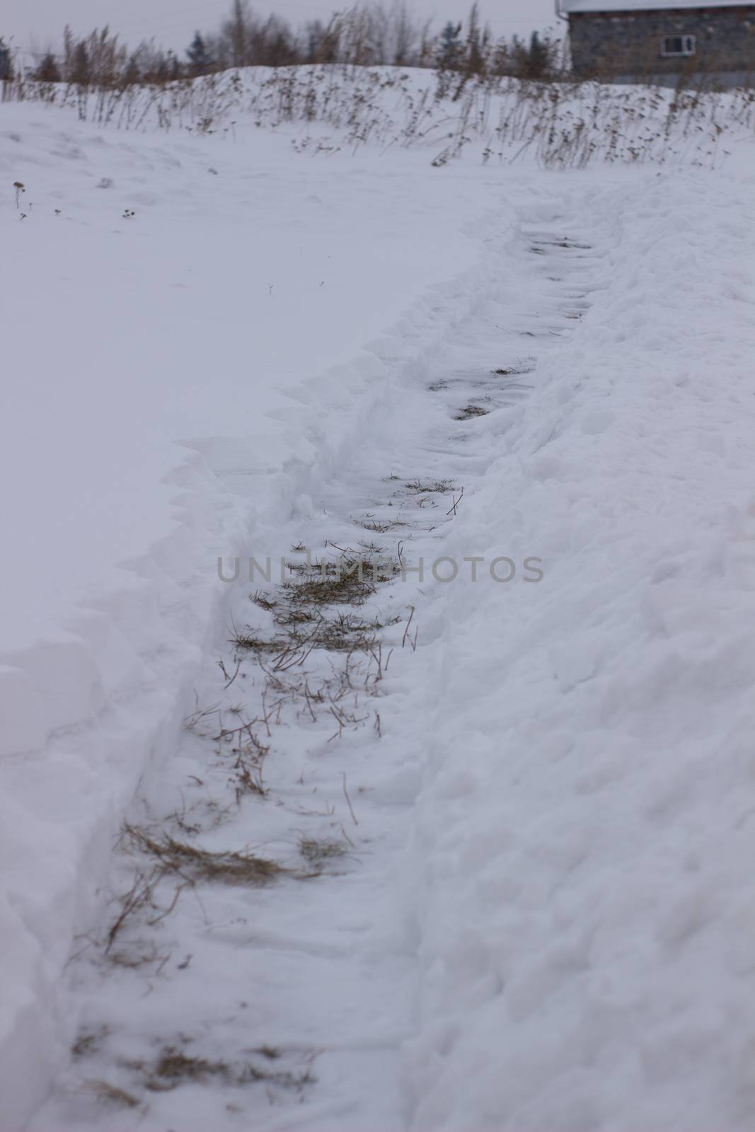 City service cleaning snow winter with shovel after snowstorm yard. sunlight by AnatoliiFoto