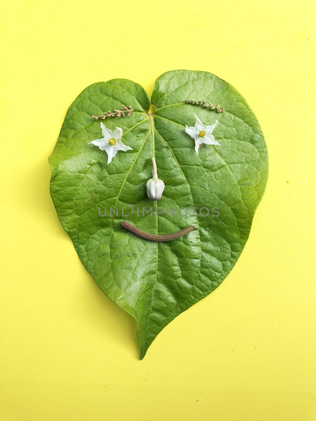Betel leaf is crafted with flowers and vegetables to represent as a smiling human face with yellow background