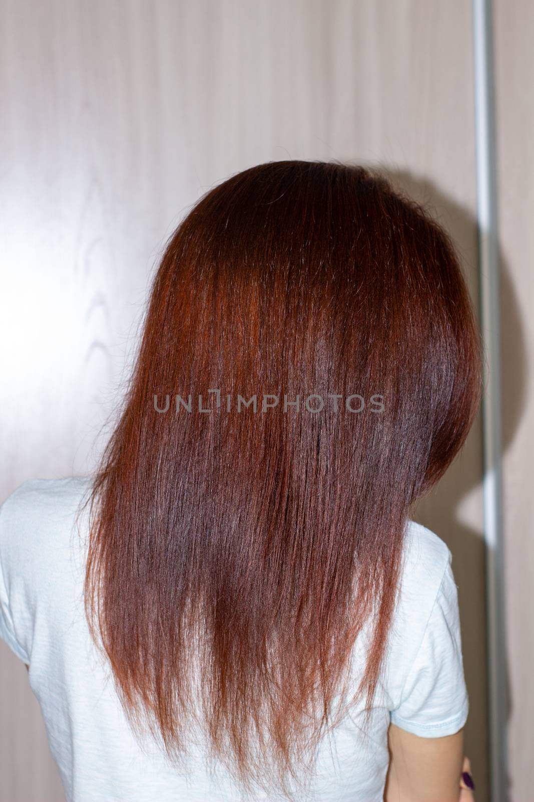 Woman's long straight chestnut hair. Smooth long hair. by AnatoliiFoto