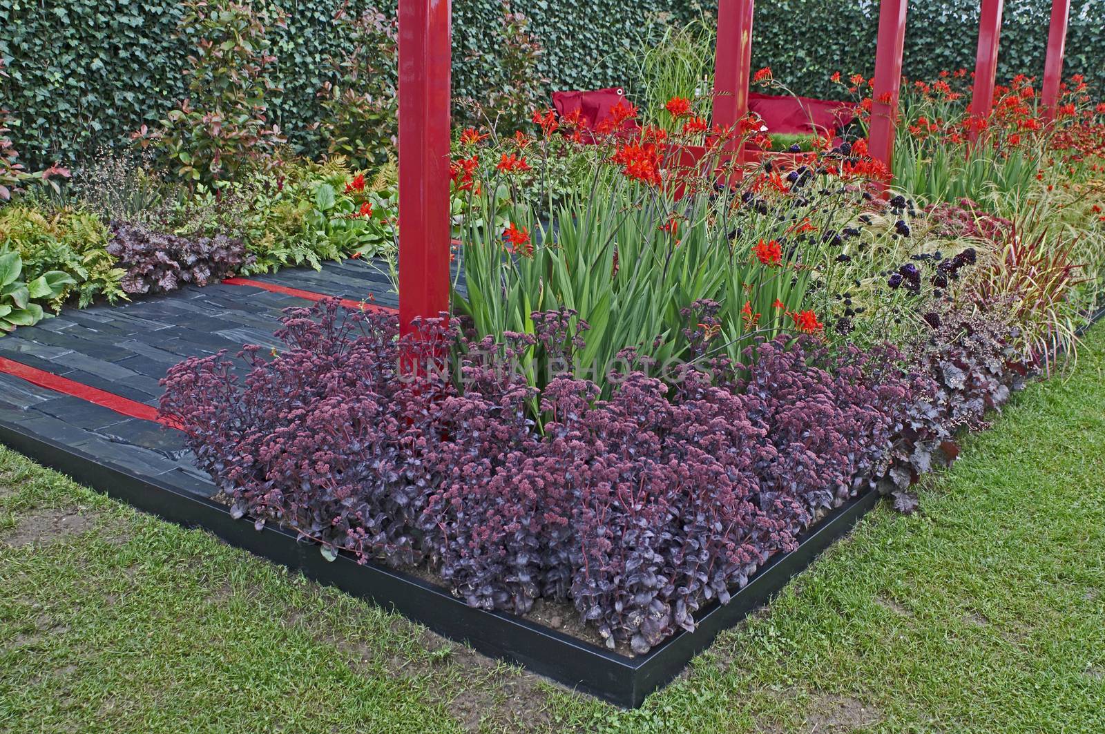 Colourful detail of the Red Rhythm garden with mixed planting including Crocosmia, Heuchera and Sedum