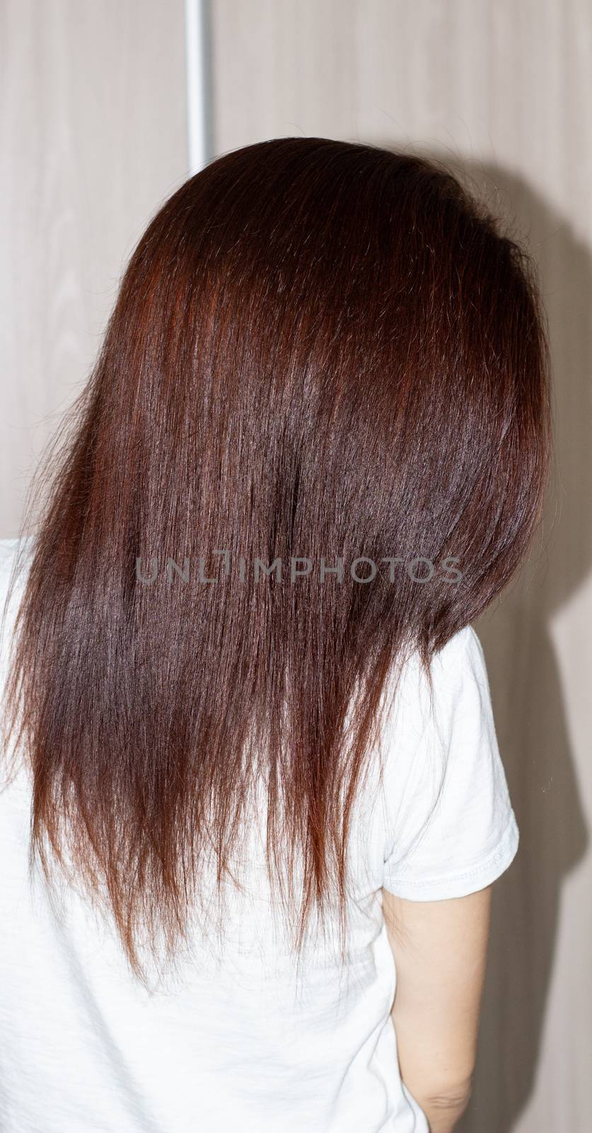 Woman's long straight chestnut hair. Smooth long hair. by AnatoliiFoto