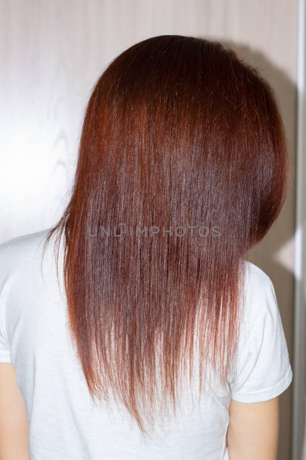 Woman's long straight chestnut hair. Smooth long hair