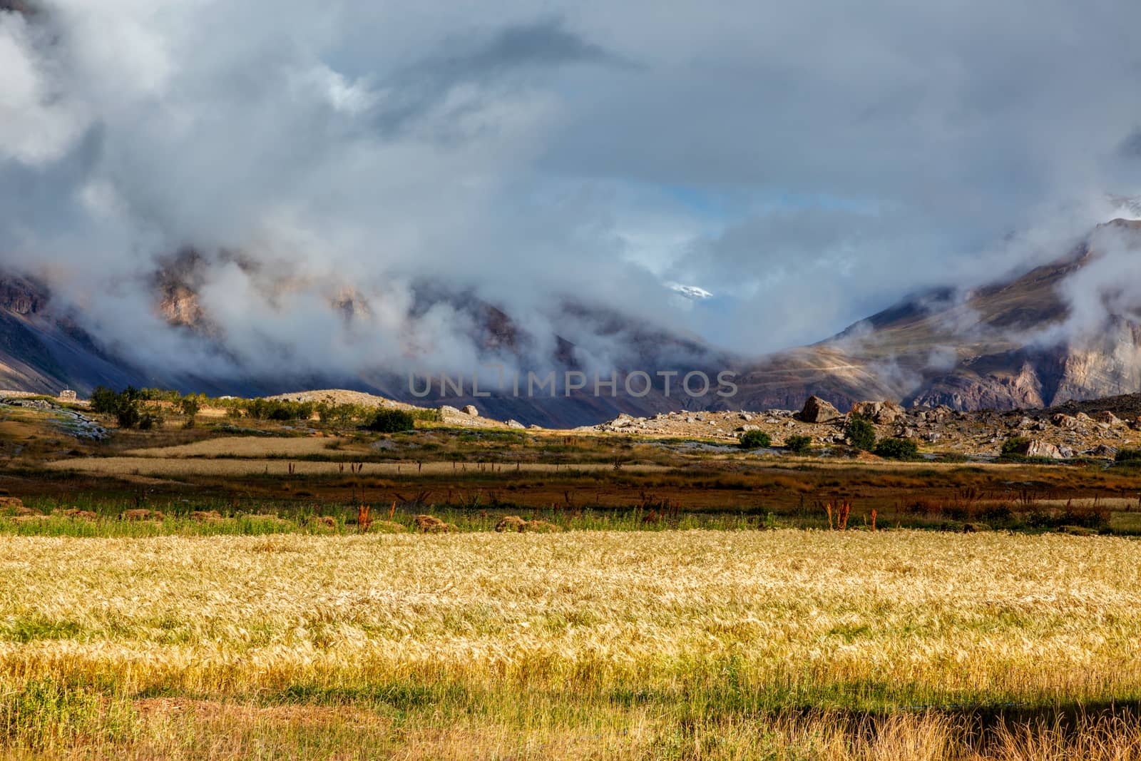 Spiti Valley, Himachal Pradesh, India by dimol