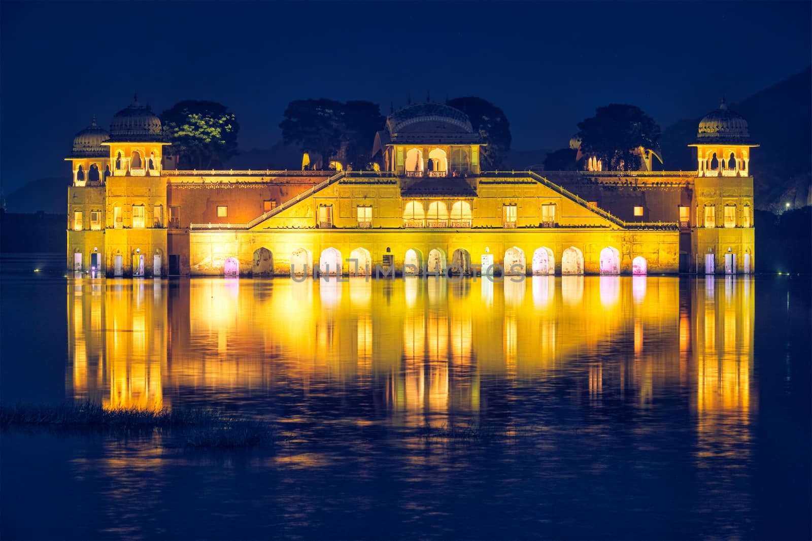 Jal Mahal Water Palace. Jaipur, Rajasthan, India by dimol