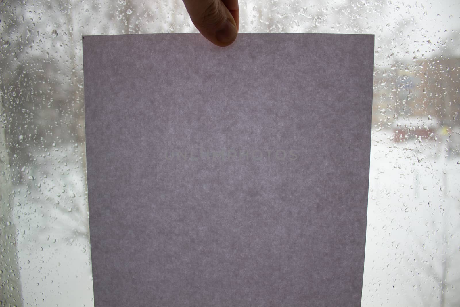 A man holds a grey cardboard page against the background of a window. by AnatoliiFoto