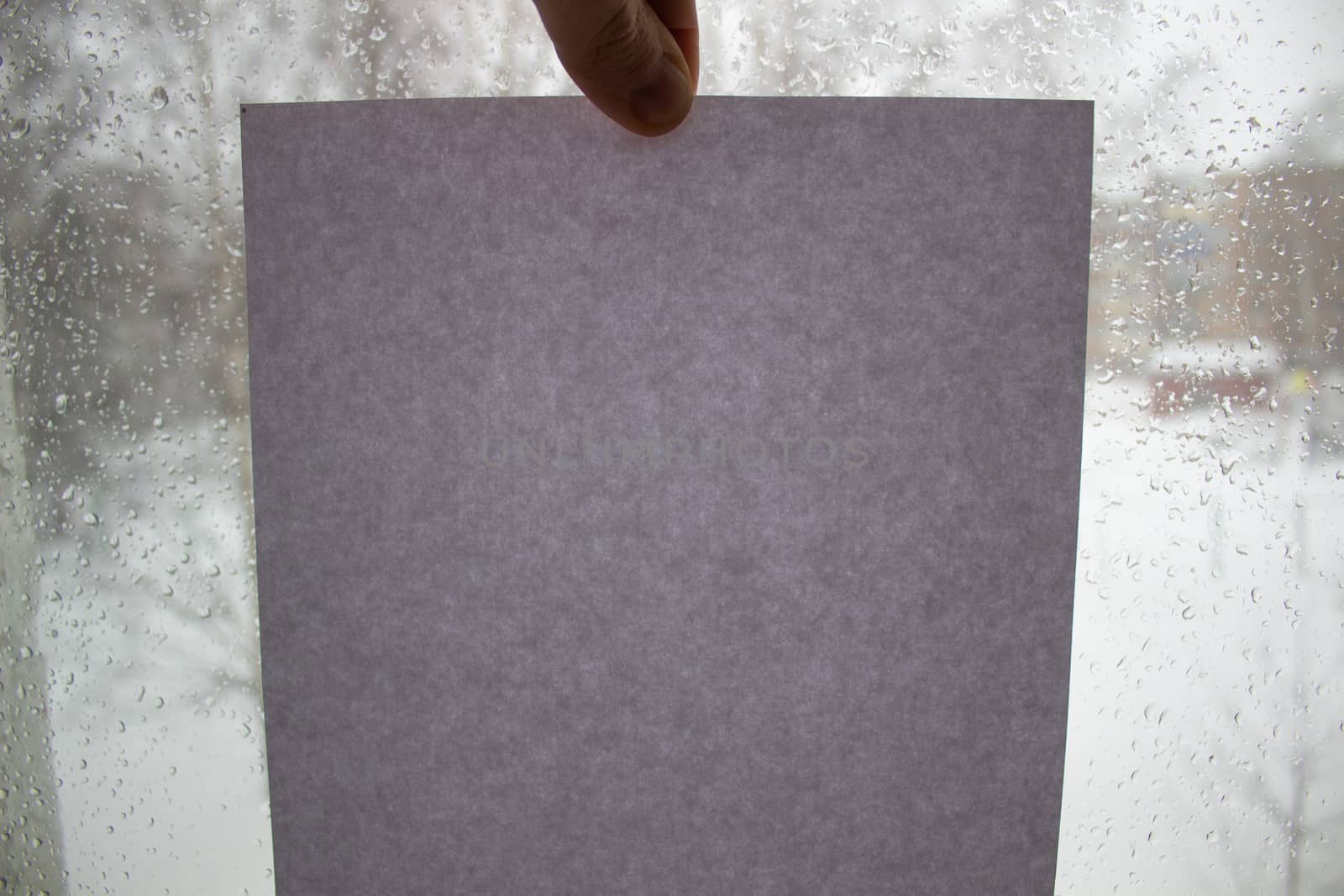 A man holds a grey cardboard page against the background of a window