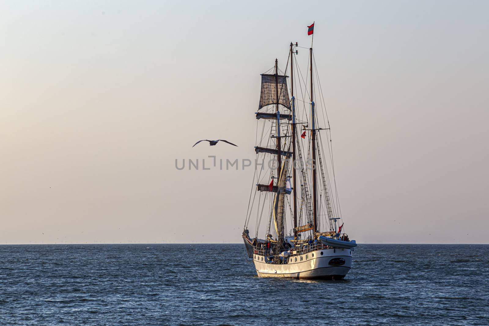 A seagull flying beside an antique tall ship, vessel leaving the harbor of The Hague, Scheveningen under a warm sunset and golden sky by ankorlight