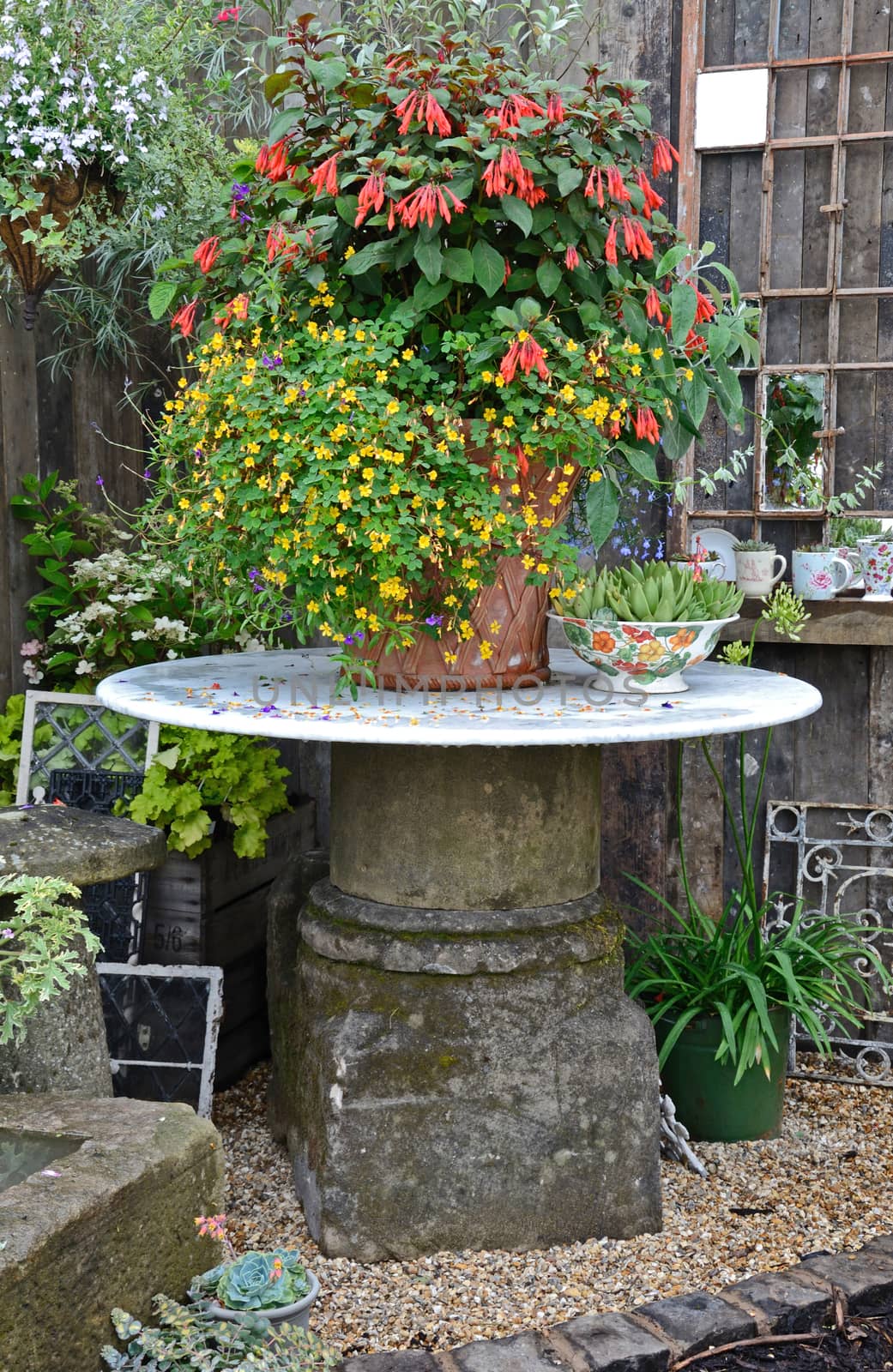 A container of flowering Fuchsias and decorated with reclamation furniture and accessories
