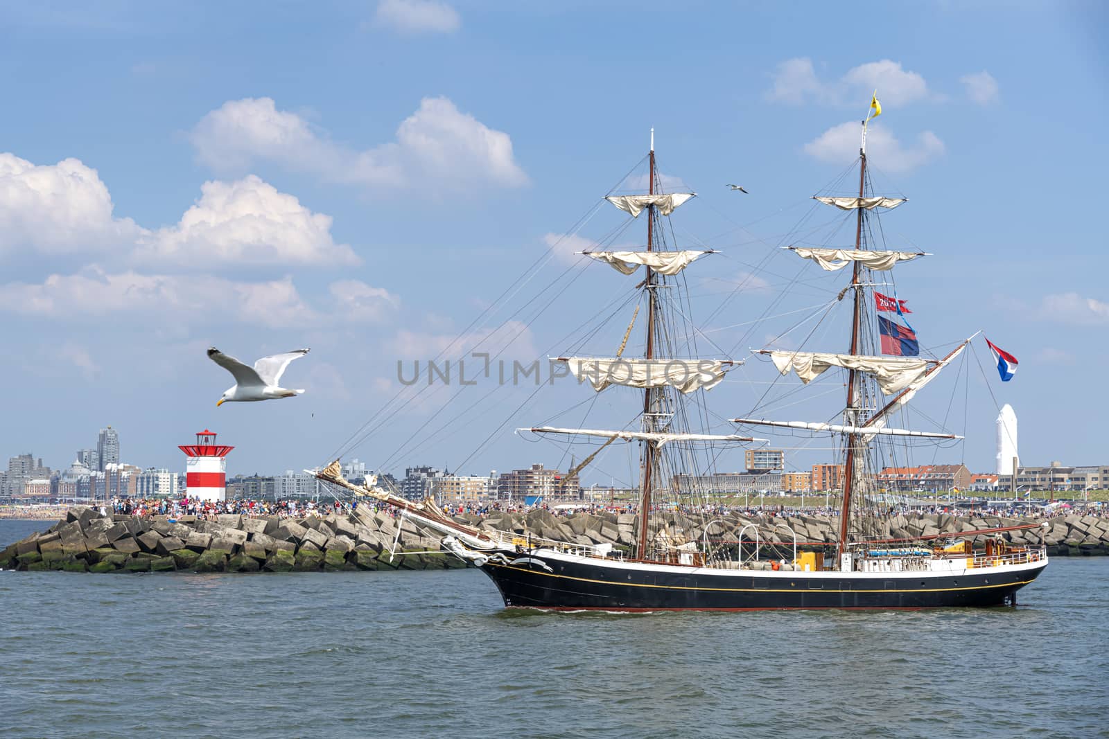 A seagull flying beside an antique tall ship, vessel leaving the harbor of The Hague, Scheveningen under a warm sunset and golden sky by ankorlight